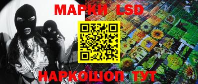скорость Кимры
