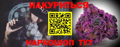 apvp Кингисепп