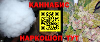 apvp Кингисепп
