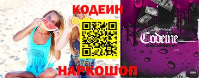 apvp Кингисепп